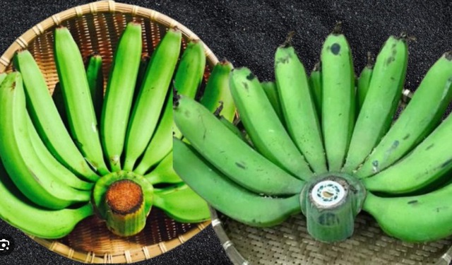 Ông bà dặn: KHÔNG ghép 2 nải chuối trên ban thờ, con cháu làm trái dễ rước họa vào thân- Ảnh 2. Ông bà dặn: KHÔNG ghép 2 nải chuối trên ban thờ, con cháu làm trái dễ rước họa vào thân- Ảnh 2.