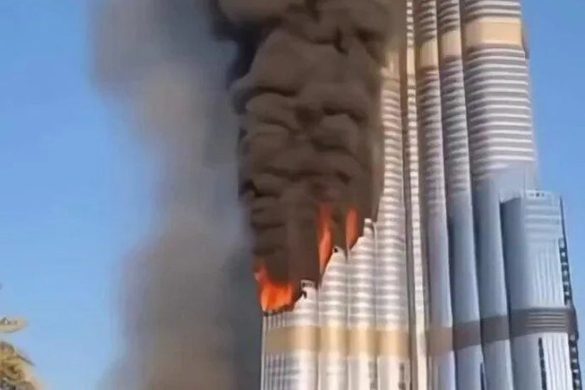 avatar1773361493389 1773361494056983629887