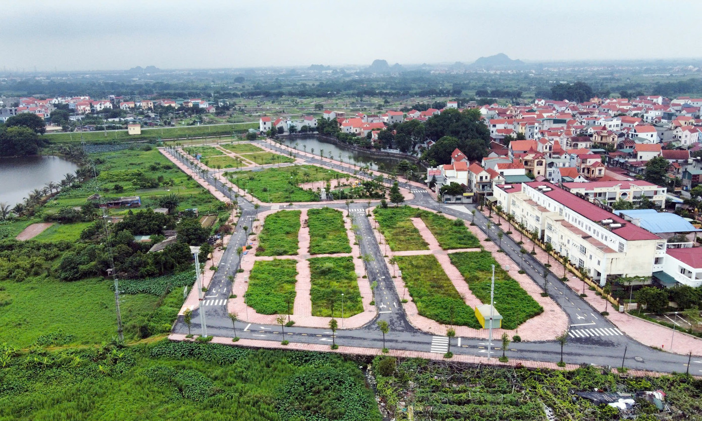 dau gia dat bo hoang17 1052 6025 1773409878605 1773409879516107129096