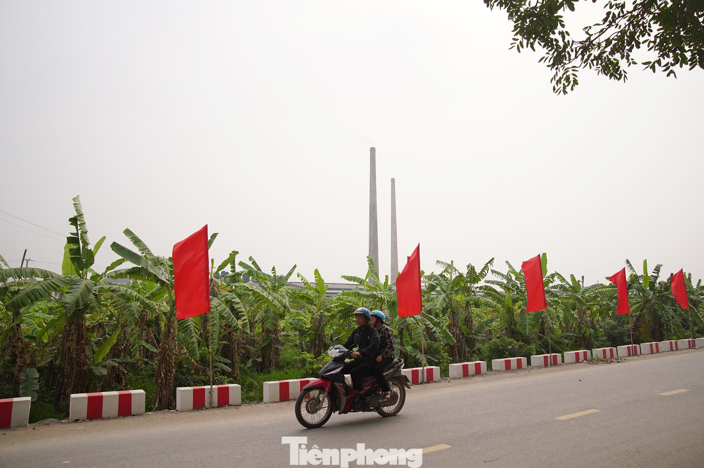 tp-tm00029-1773384201645-17733842018341666493028 tp tm00029 1773384201645 17733842018341666493028